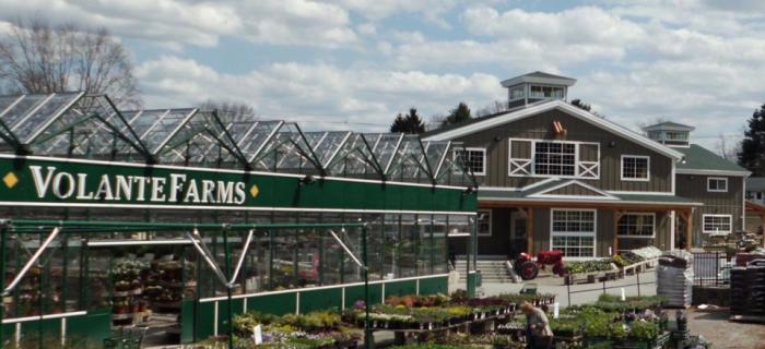 A New Dimension in Building